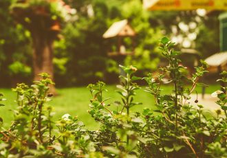 Tipps für pflegeleichten Garten von 123haus.at